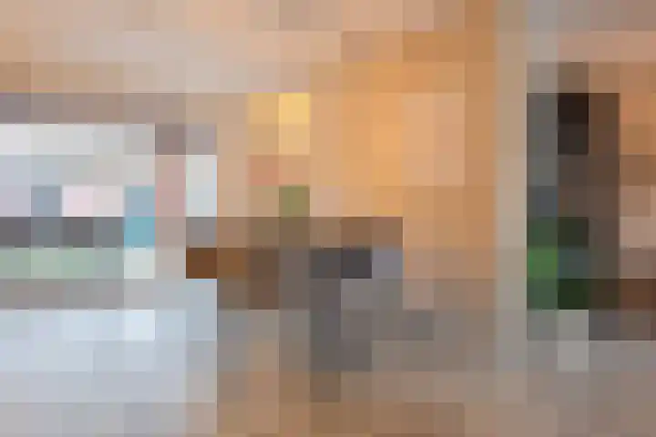 Schelft 7 Reusel thumbnail 10