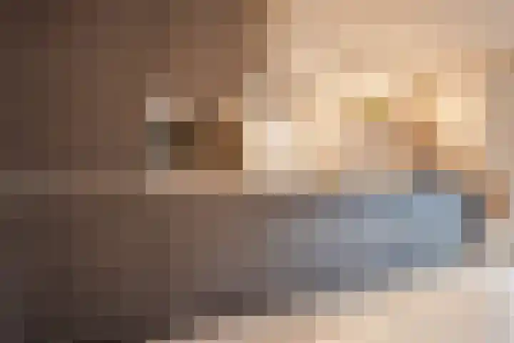 Schelft 7 Reusel thumbnail 16