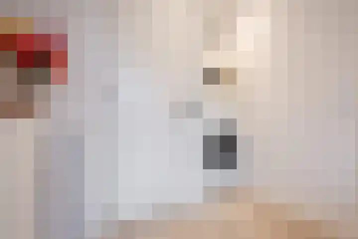 Schelft 7 Reusel thumbnail 20