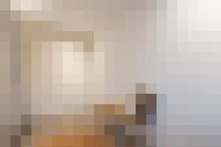 Schelft 7 Reusel thumbnail 32