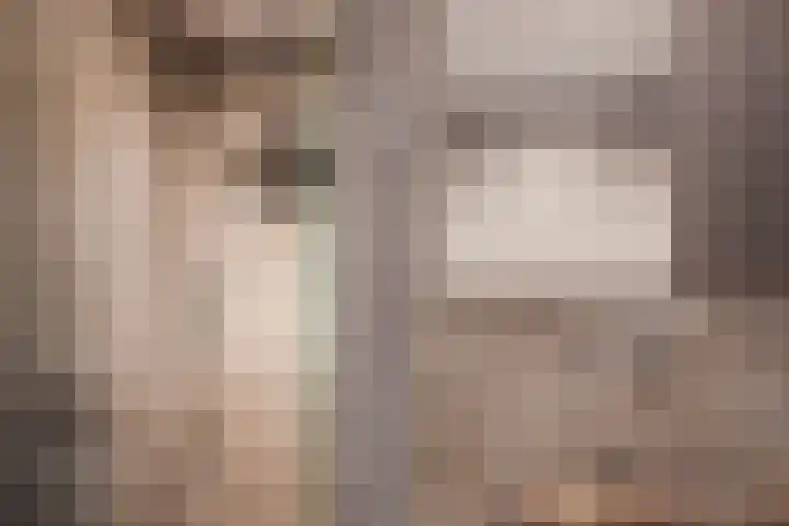 Schelft 7 Reusel thumbnail 34