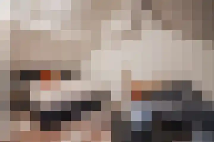 Schelft 7 Reusel thumbnail 39