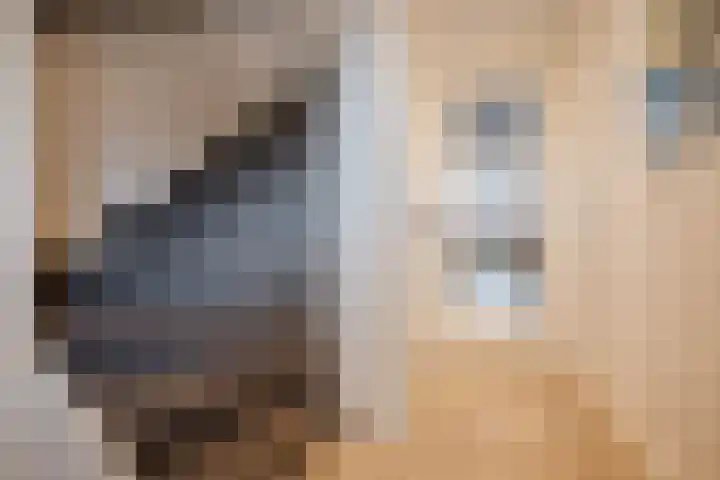 Schelft 7 Reusel thumbnail 4