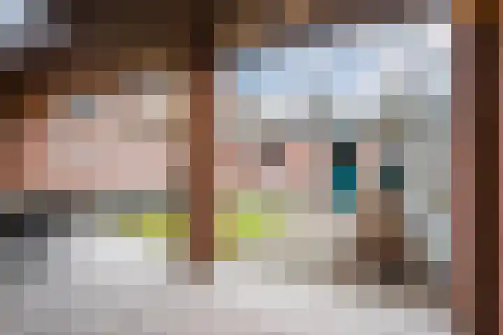 Schelft 7 Reusel thumbnail 43