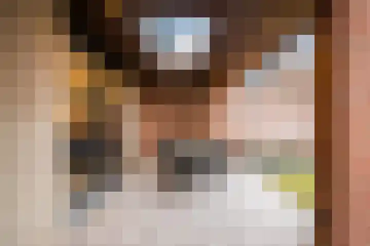 Schelft 7 Reusel thumbnail 45