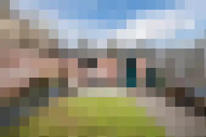Schelft 7 Reusel thumbnail 48