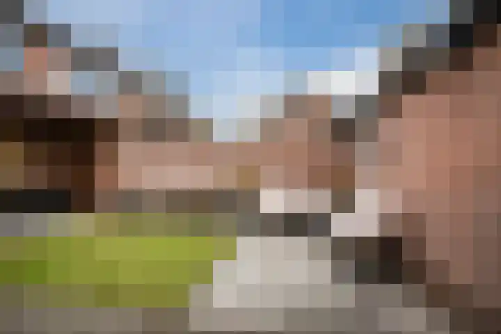 Schelft 7 Reusel thumbnail 50