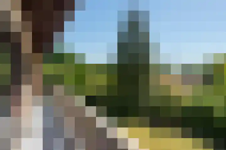 Schellardweg 25 Oosterbeek thumbnail 33