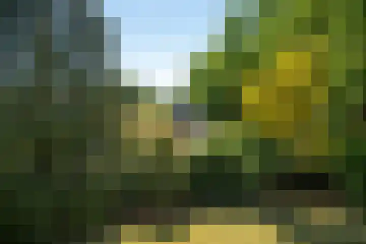 Schellardweg 25 Oosterbeek thumbnail 34