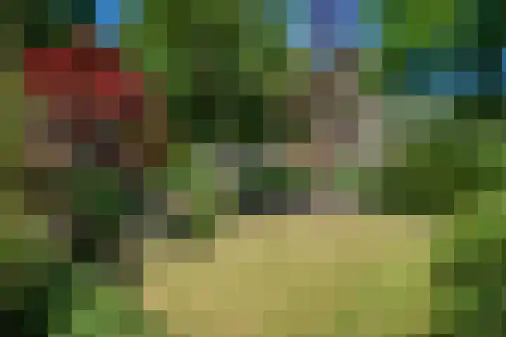 Schellardweg 25 Oosterbeek thumbnail 4