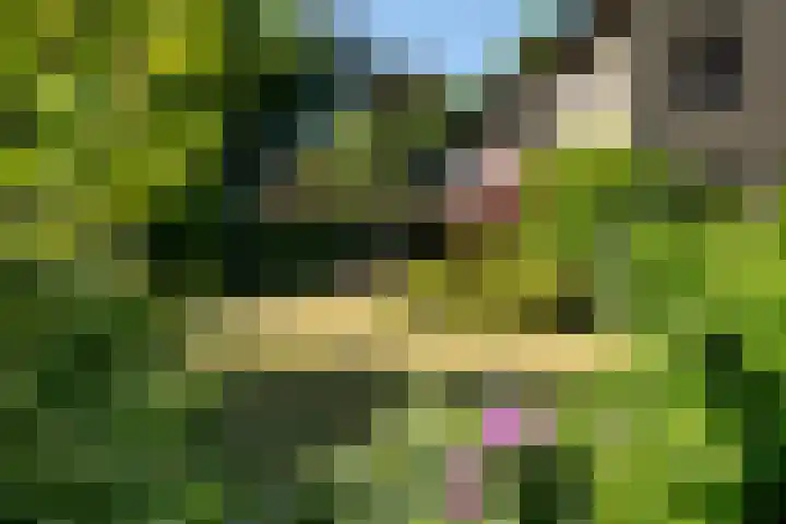 Schellardweg 25 Oosterbeek thumbnail 63