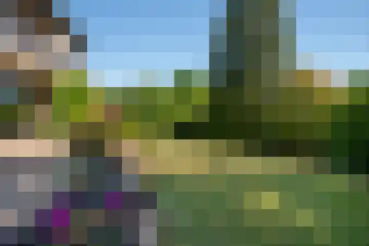 Schellardweg 25 Oosterbeek thumbnail 64