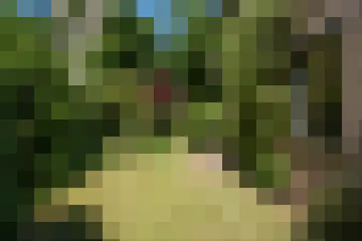 Schellardweg 25 Oosterbeek thumbnail 66