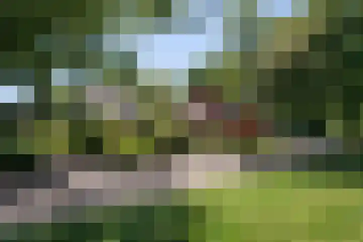 Schellardweg 25 Oosterbeek thumbnail 68