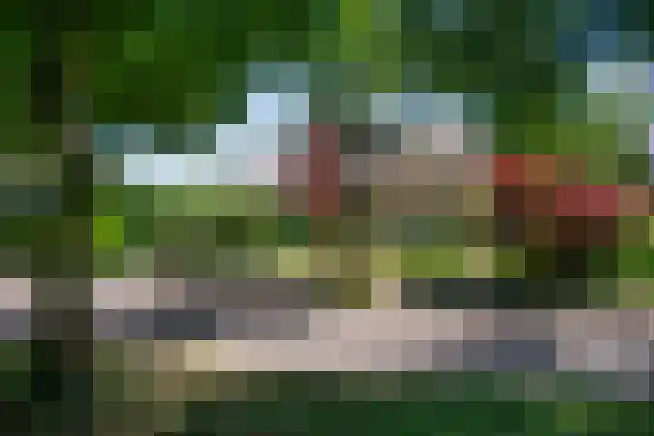 Schellardweg 25 Oosterbeek thumbnail 70