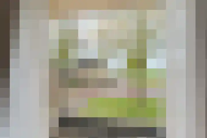 Schellenkrans 8 Zevenaar thumbnail 30