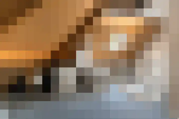 Schellenkrans 8 Zevenaar thumbnail 39