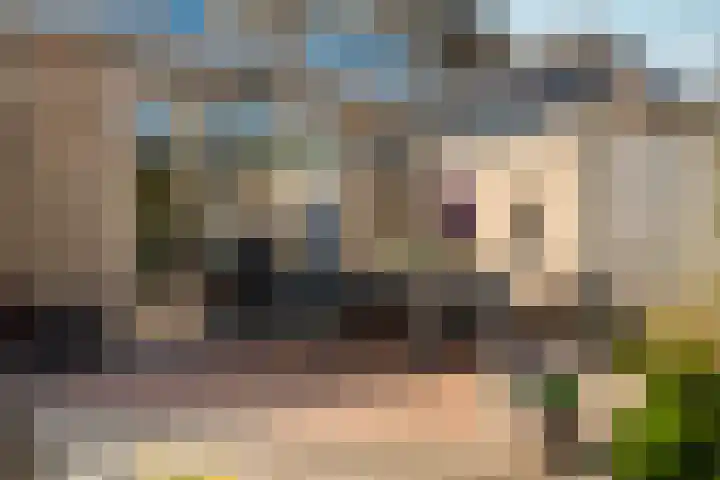 Schellenkrans 8 Zevenaar thumbnail 51
