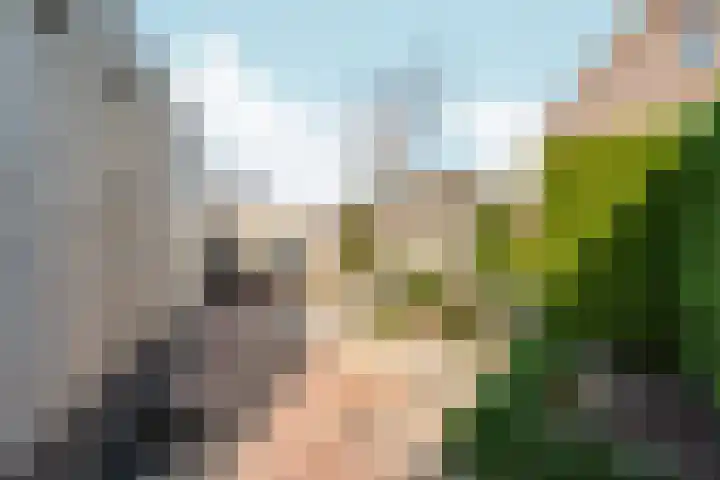 Schellenkrans 8 Zevenaar thumbnail 55