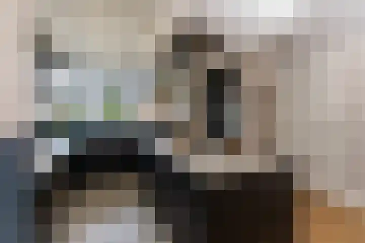 Schelling 1 Uden thumbnail 11