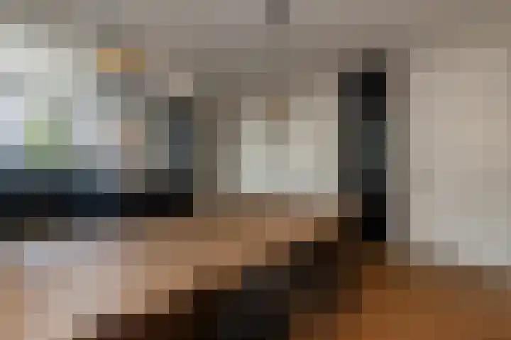 Schelling 1 Uden thumbnail 13