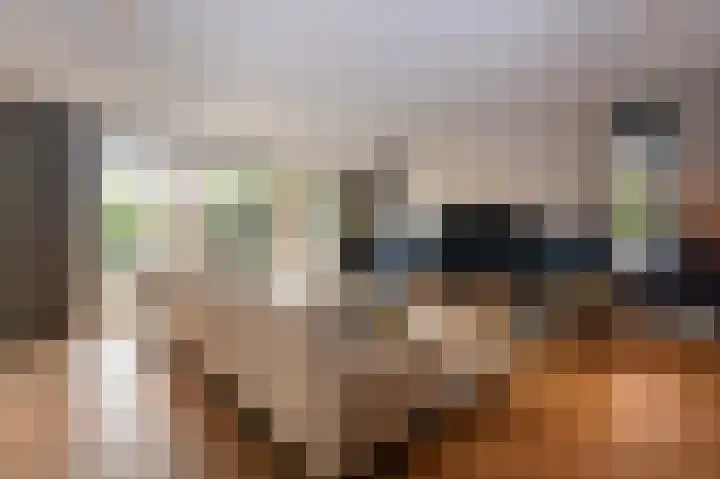 Schelling 1 Uden thumbnail 15