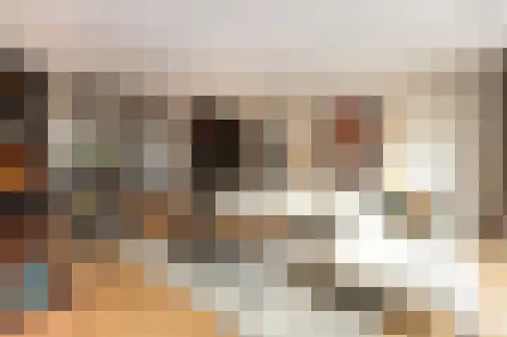 Schelling 1 Uden thumbnail 17