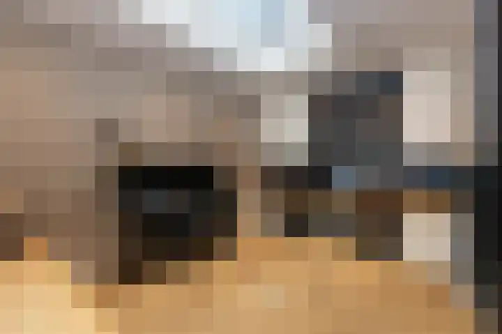 Schelling 1 Uden thumbnail 18