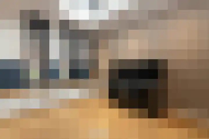 Schelling 1 Uden thumbnail 19