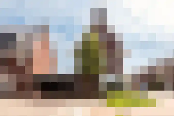 Schelling 1 Uden foto 2