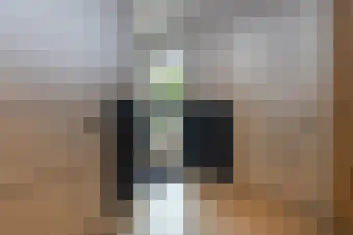 Schelling 1 Uden thumbnail 21