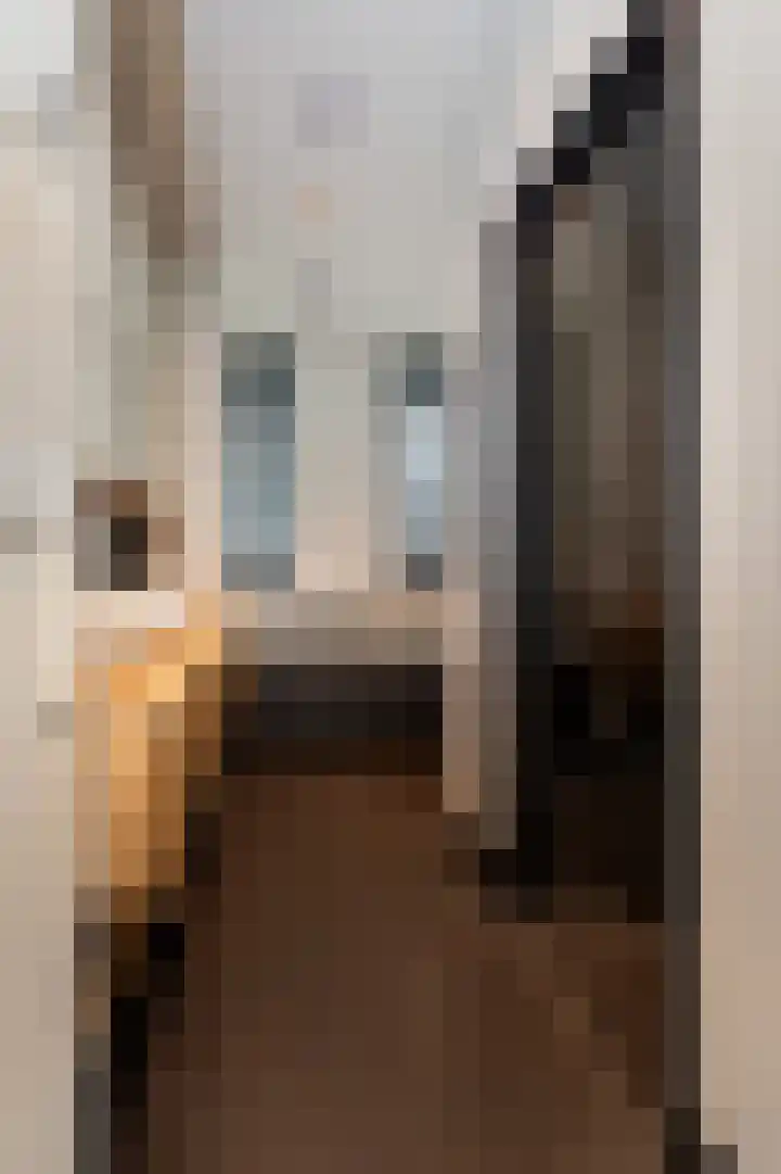 Schelling 1 Uden thumbnail 23