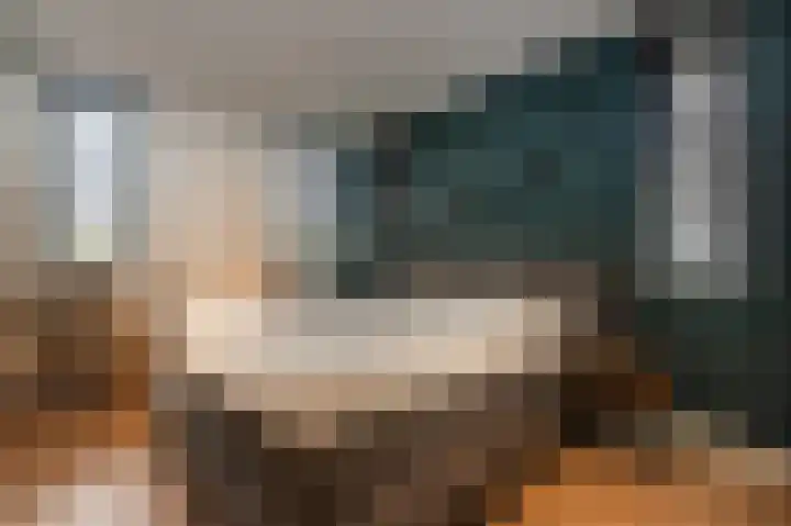 Schelling 1 Uden thumbnail 26