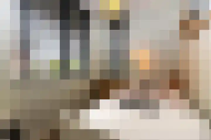 Schelling 1 Uden thumbnail 27