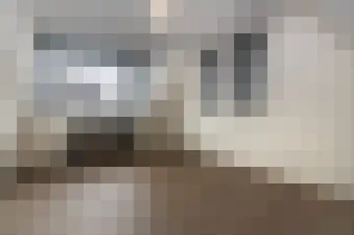 Schelling 1 Uden thumbnail 28