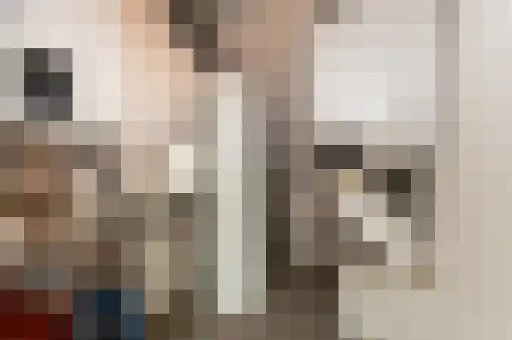 Schelling 1 Uden thumbnail 29