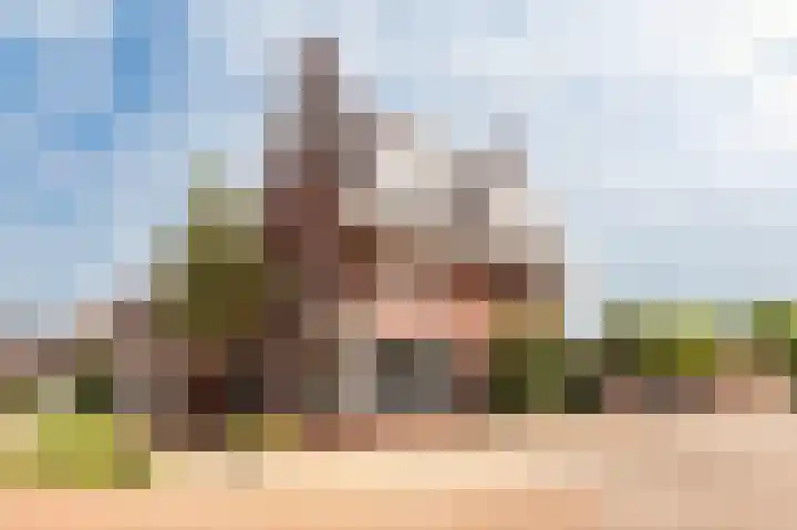 Schelling 1 Uden foto 3