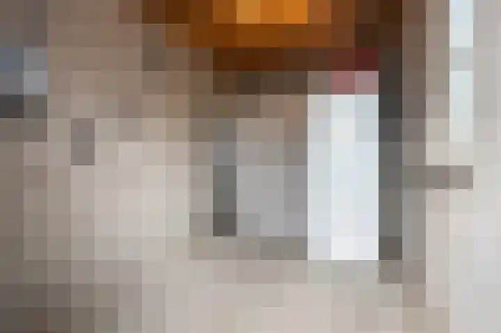 Schelling 1 Uden thumbnail 31