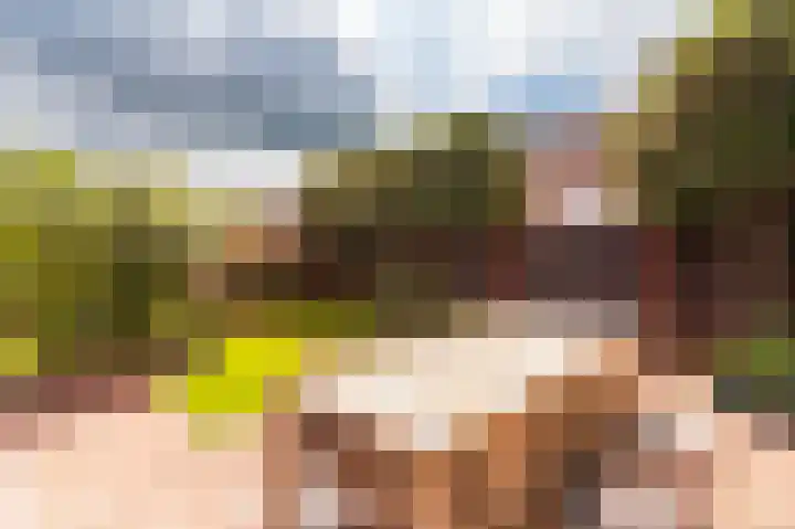 Schelling 1 Uden thumbnail 32