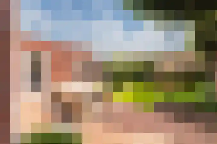 Schelling 1 Uden thumbnail 33