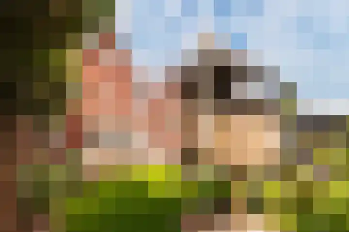 Schelling 1 Uden thumbnail 34