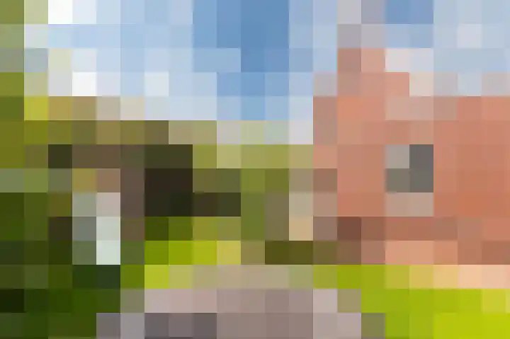 Schelling 1 Uden thumbnail 36