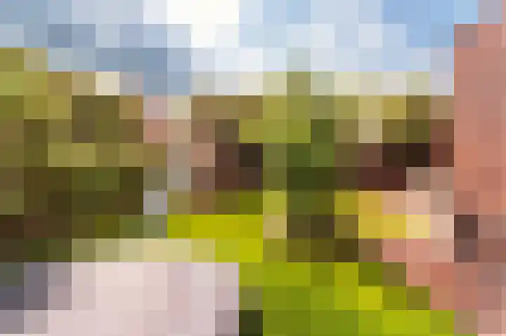 Schelling 1 Uden thumbnail 37