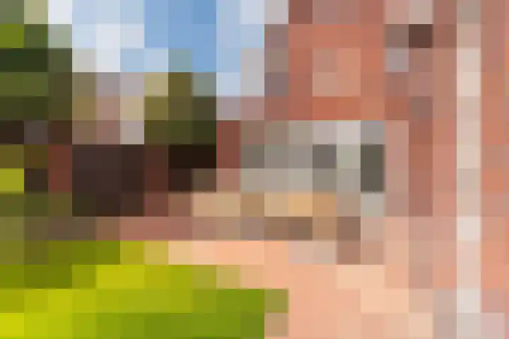 Schelling 1 Uden thumbnail 38