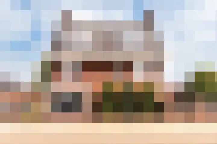 Schelling 1 Uden thumbnail 4