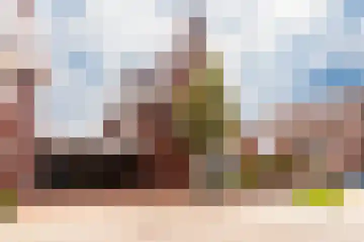 Schelling 1 Uden thumbnail 43