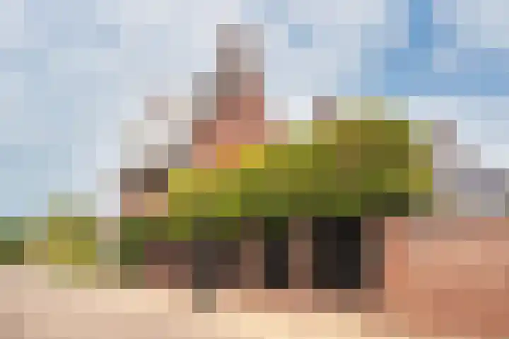 Schelling 1 Uden thumbnail 5