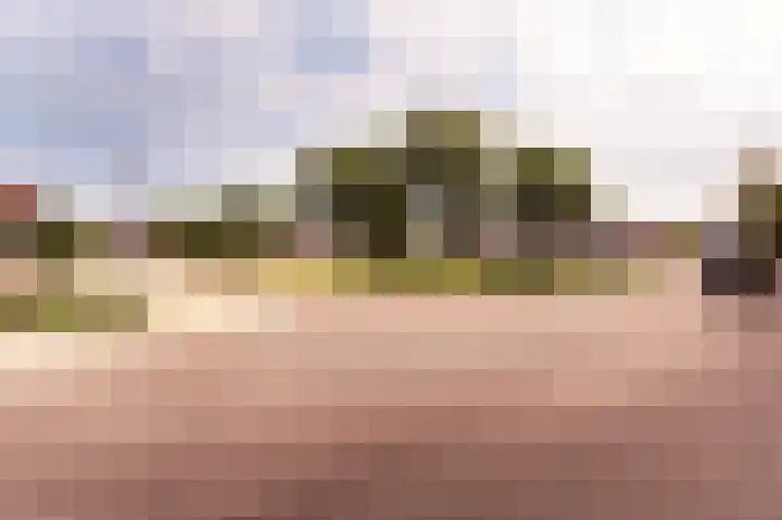 Schelling 1 Uden thumbnail 6