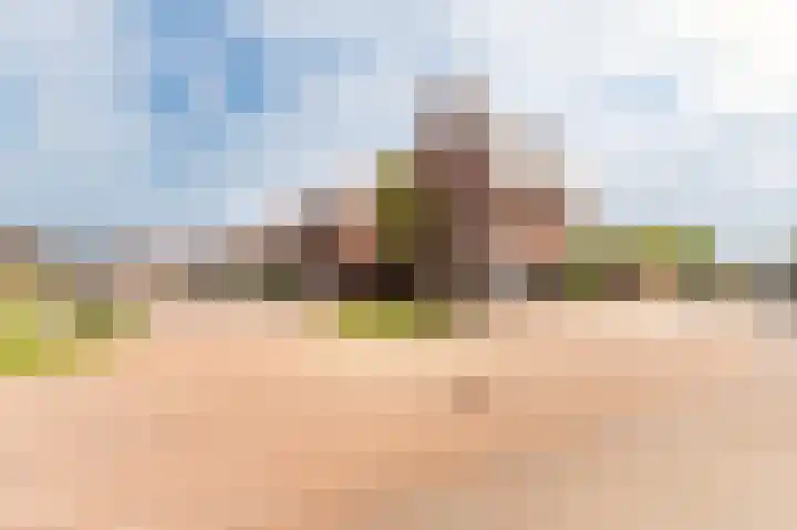 Schelling 1 Uden thumbnail 8
