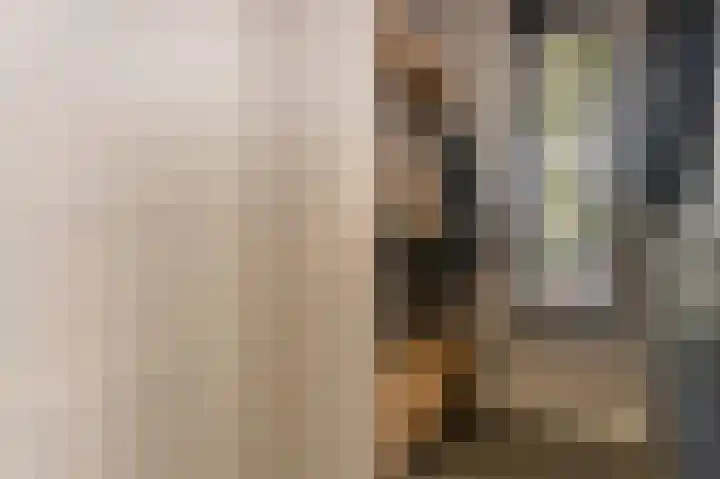 Schelling 1 Uden thumbnail 9